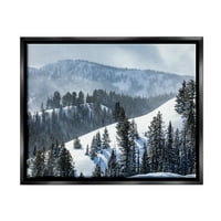 Stupell Industries tihi snježni padine planine Raspršene jelce Fotografije Jet Crni plutajući uokvireni platno print zidna umjetnost,