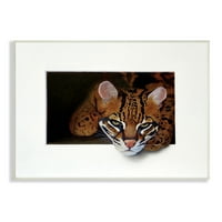 Prijeteći gepard, zasljepljujuća mačka iz džungle, malo poznata slika, umjetnički tisak bez okvira, zidna umjetnost, dizajn Alana