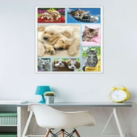 Keith Kimberlin - zidni plakat s kolažom štenaca i mačića, 22.375 34