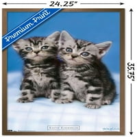 Keith Kimberlin-zidni poster mačići Blizanci, 22.375 34