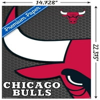 Chicago Bulls - zidni poster s logotipom, 14.725 22.375