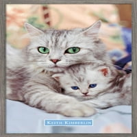 Keith Kimberlin - plakat na zidu s mamom i mačićem, 14.725 22.375