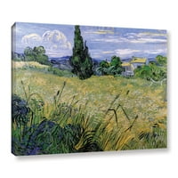 Zeleno pšenično polje s galerijom Cypress omotano platno