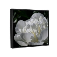 Cvjetajući bijele latice Fotografije Botanička i cvjetna fotografija Jet Black Framed Art Print Art Art