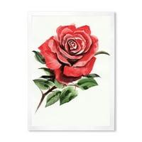 Designart 'drevni cvijet crvene ruže iii' Tradicionalni uokvireni umjetnički tisak