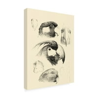 Vision Studio 'Waterbird Sketchbook III' platno umjetnost