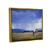 Stupell uočeni konj za ispašu zemlje travnjaci životinje i insekti fotografija zlatni plutač uokviren umjetnički print zid umjetnost