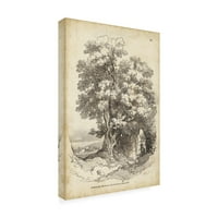 Zaštitni znak likovna umjetnost 'Noble Tree II' platno umjetnost J. D. Harding