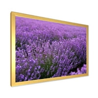 DesignArt 'Blooming Purple Lavander Meadow' Farmhouse uokvireni umjetnički tisak